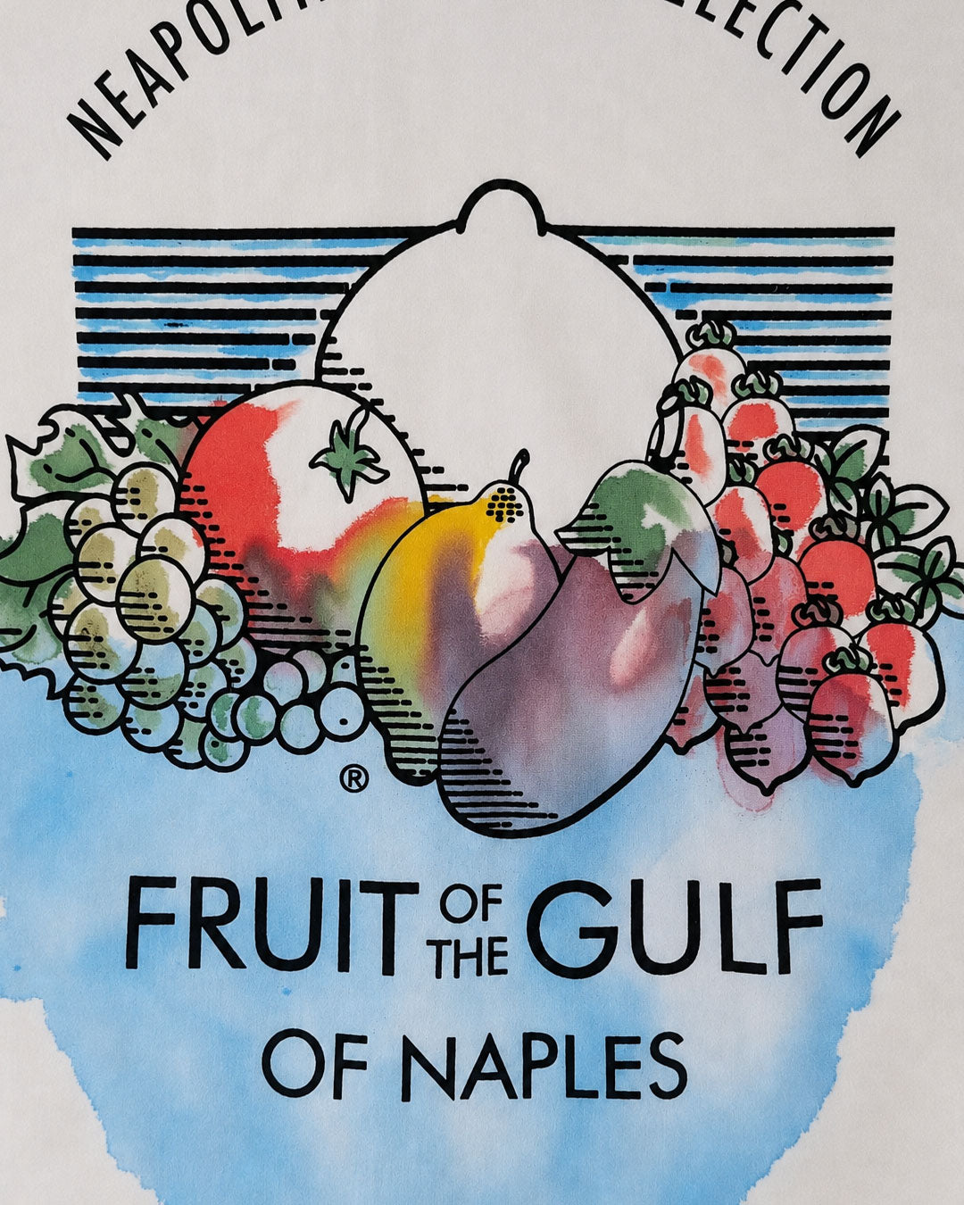 Costume intero Fruit of the Gulf