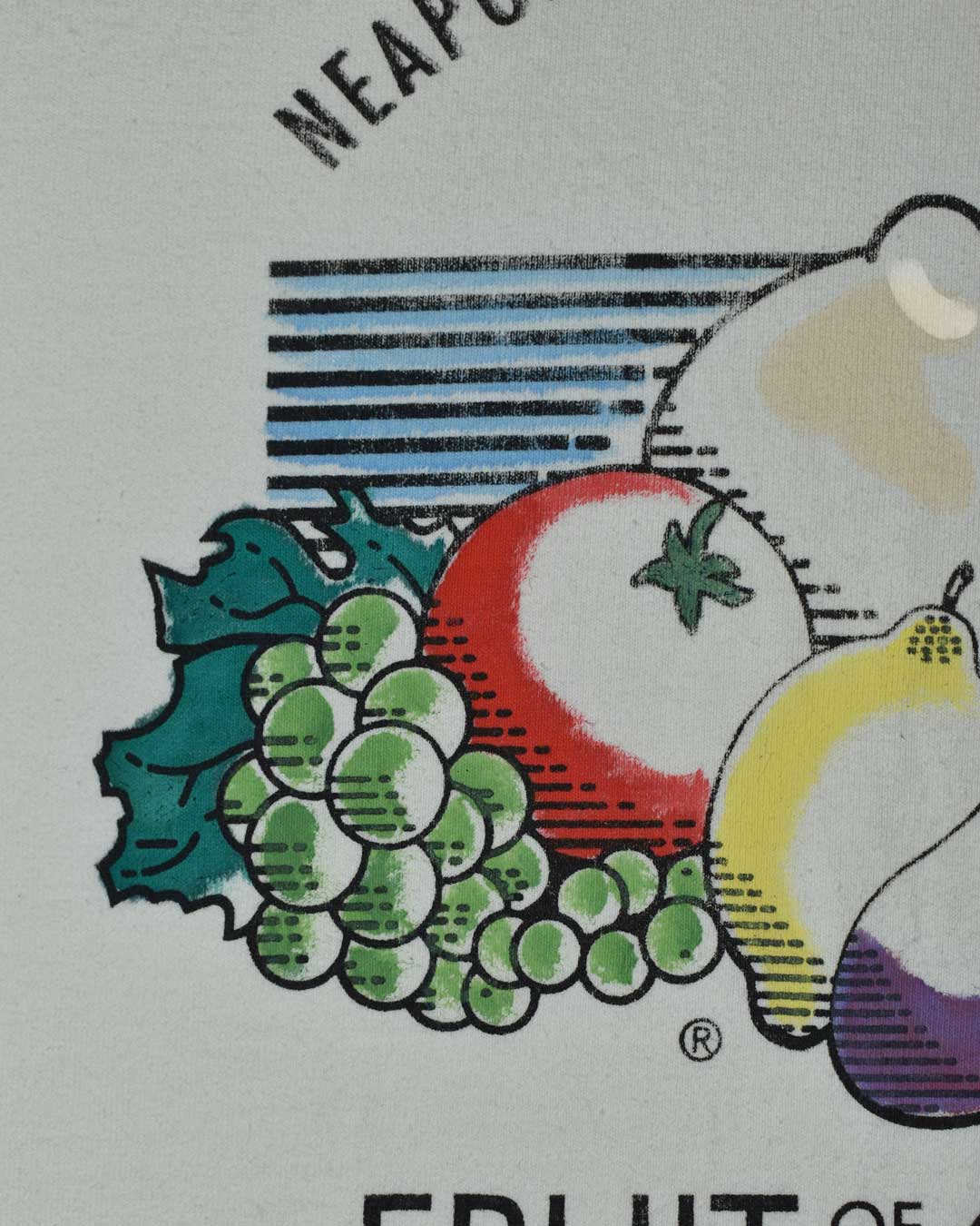 T-shirt longsleeve fruit of the gulf