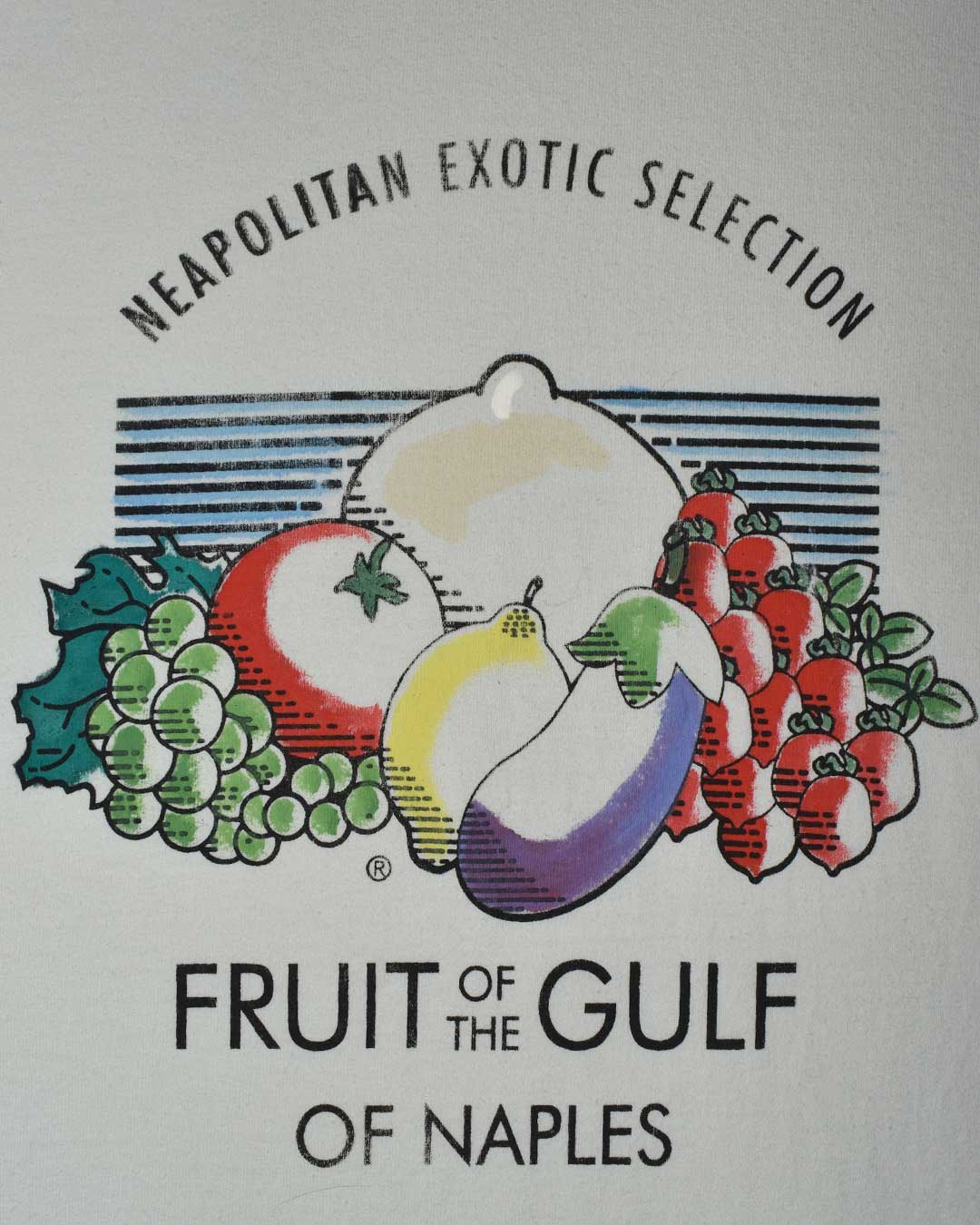 T-shirt longsleeve fruit of the gulf